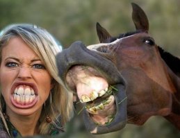 Найден предок