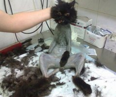 серьёзные проблемы