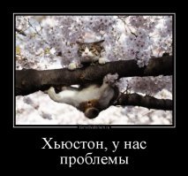 25 котиков, у которых серьёзные проблемы