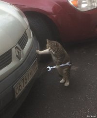 Автовсячина. Я починил