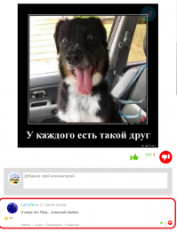 Забавные комментарии из социальных сетей