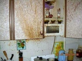 Где, где?! На стенах и потолке!