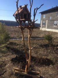 как бы кормушка, но если кто заселится то пофиг пусть живут