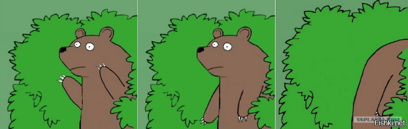 Туристы против медведей: как выжить в русском лесу?