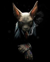 25 фотографий суровых сфинксов, которые похожи на демонических тварей