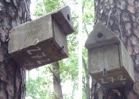 Где в Челябинске...