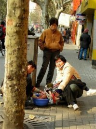 25 идиотских фотографий, которые могли быть сделаны только в Азии