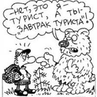 Туристы против медведей: как выжить в русском лесу?
