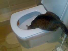 Мы знаем откуда вкуснее