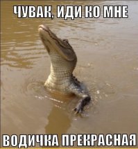 Он просто хотел сказать