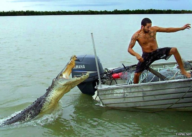 Крокодил попытался запрыгнуть  на лодку с рыбаками