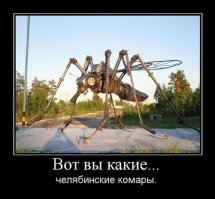 Видео: Таганрог переживает нашествие огромных зеленых комаров