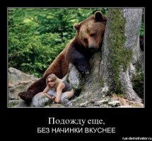 Туристы против медведей: как выжить в русском лесу?