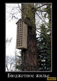 Такие разные скворечники со всего мира