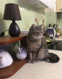 Мою прынцесску можно спокойно использовать в качестве популярнейшего мема ;)