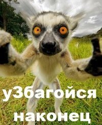 Полно карикатур на путина, успокой уже своего внутреннего либерального зверя.