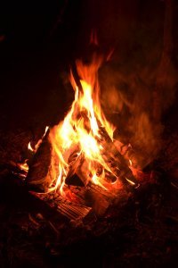 Светильник. Из бревна.