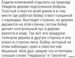 Разрушение плотины бобра экскаватором