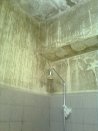 ну это здорово ежели так... а я вот лежал некоторое время назад в Москве во Боткинской больнице, которая считается одной из самых крутых в стране, вот немного фоток сделал из палаты