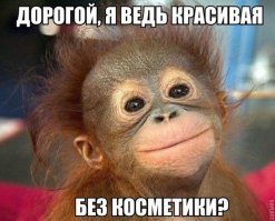 Кто на свете всех милее? Мартышка любуется собой в зеркало