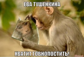 Кто на свете всех милее? Мартышка любуется собой в зеркало