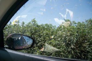 Из личного архива. Ейск.