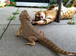 Дружба бывает разная )