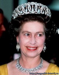 Копайте от забора и до рассвета