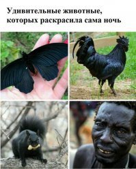 Картинки с надписями для настроения