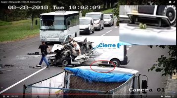 что за яблоки? кто подскажет?