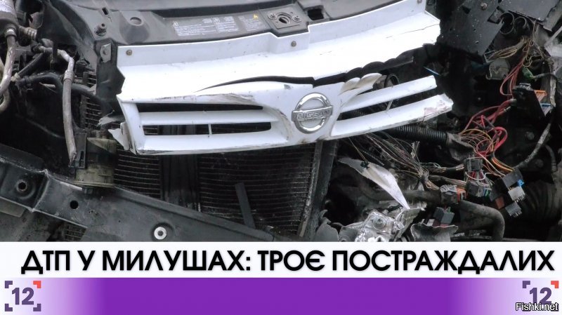 Вы что там все наркоманы что-ли, какой Виваро? Nissan Primastar и это официально комментирует полиция, просто п..ц! Почему не сказали беленький бусик и голубенький грузовичок? Дегенераты...