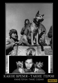 История нашего кино: 1990-е