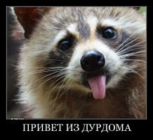 щас он как расскажет гайцам что его ЛОСЬ уронил!