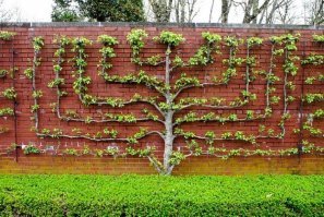 Необычные заборы для тех, кого достал профлист