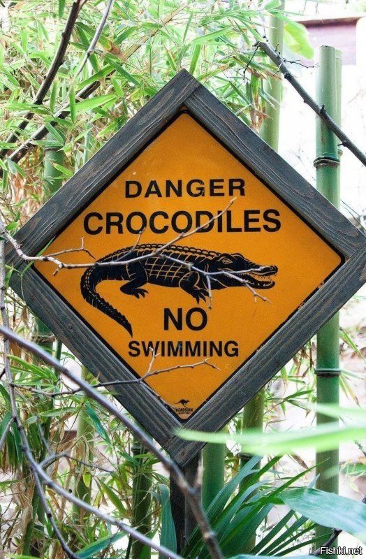 Так то во Флориде только аллигаторы. и кенгуру на знаке во Флориде редковато.....