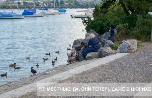 Вы, наверное, полагаете, что в Швейцарии нет инородцев-дармоедов? Дофига полубомжующих стайками ходит.