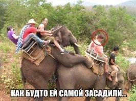 15 случаев, когда во время отпуска что-то пошло не так