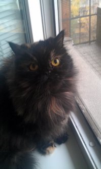 Позитивные фототочки