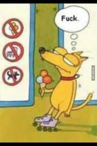 Буйство запретов: подборка запрещающих надписей и знаков. Часть 2