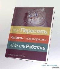 Житель Кемерова продаёт кота-экстрасенса за 5 миллионов рублей