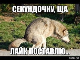 На Брэда Питта подают в суд жертвы урагана «Катрина»