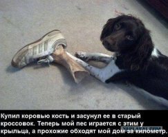 Шутка над строителями