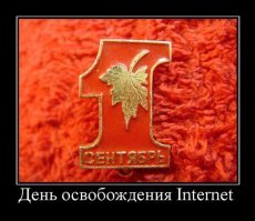 Любопытство до добра не доводит