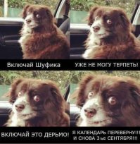 Шуфутинский расскал, что не собирается сидеть дома 3 сентября