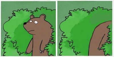 Как устроена медвежья берлога