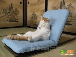 никаких связей нет. 
Просто эмоции, но суть одна!
Причина - а следствий и проявлений может быть целая масса. 
Гарин тоже понравился - в "Золушке"  но вот так - считайте это моим изгалЯнием на фишках после работы. 
Разве нельзя?
ну или котиком меня считайте :)
мурррррлык