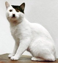 Удачный кадр