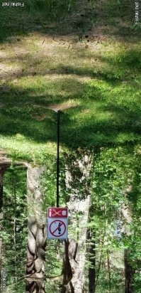 Буйство запретов: подборка запрещающих надписей и знаков. Часть 2