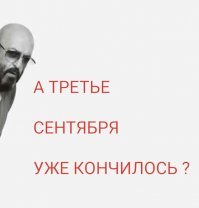 Включайте Шуфика: всеобщая истерия и костры рябин