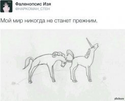 Полезное и необычное: лучшие товары с AliExpress на сегодня